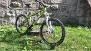 Ragley Piglet 2013 16″